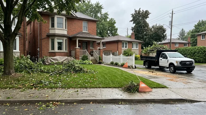 Branch Removal & Cleanup Toronto